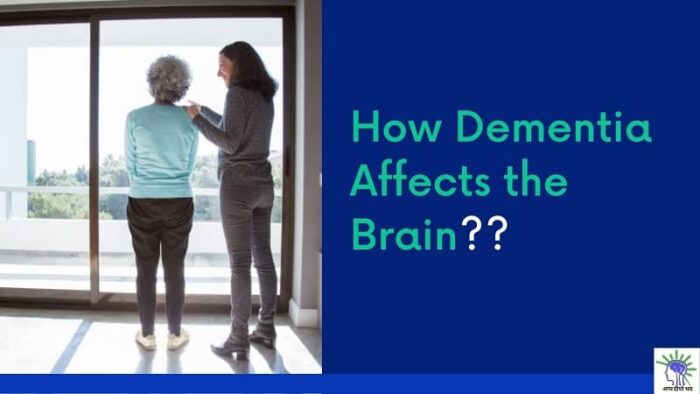 How Dementia Affects the Brain