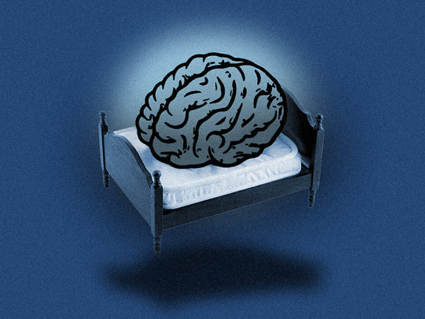 Insomnia How It Affects The Brain