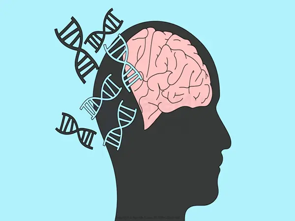 Is Mental Illness Genetic Or Hereditary