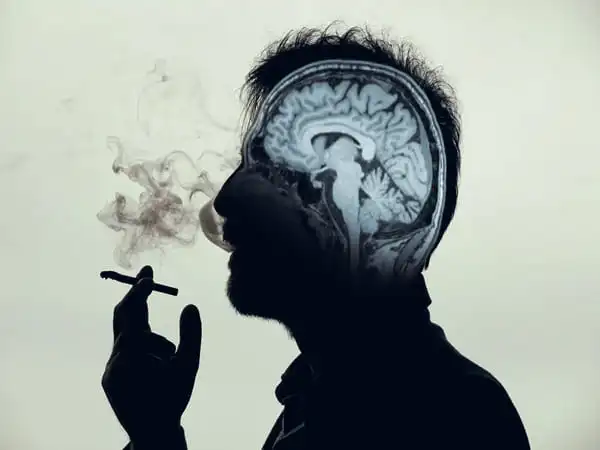 Does Nicotine Affect Brain Function